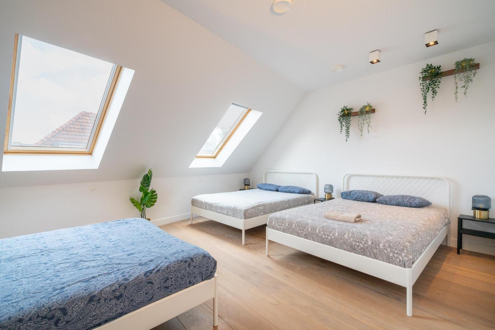 Light House Lodge. Apartment In Center Of Antwerpen Eksteriør billede